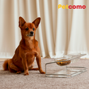 Elevated pet bowl&nbsp;