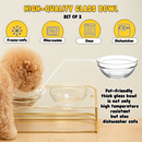 Elevated Pet Bowl Gold