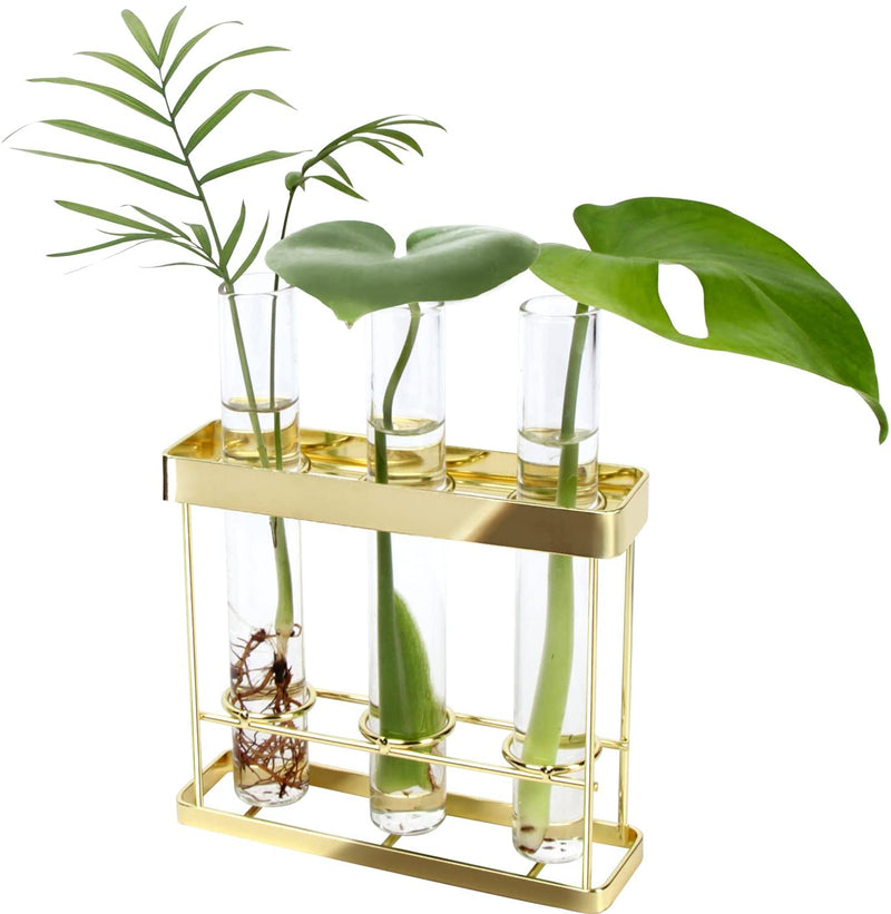 hanging test tube planter Wall Hanging 3 Glass Tube Planter Terranium (Gold Metal) – J JACKCUBE DESIGN