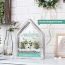 Rustic White Wall Terranium Plant Holder
