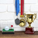 Golfball Acrylic Display Case