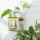 Wall Hanging 3 Glass Tube Planter Terranium (Gold Metal)