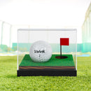 Golfball Acrylic Display Case
