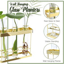 Wall Hanging 3 Glass Tube Planter Terranium (Gold Metal)