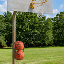 Vertical Basketball Storage Rack- 2 Ball Holder