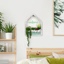 Rustic White Wall Terranium Plant Holder