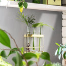 Wall Hanging 3 Glass Tube Planter Terranium (Gold Metal)
