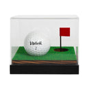 Golfball Acrylic Display Case