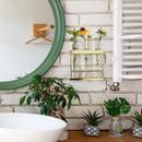 Wall Hanging 3 Glass Tube Planter Terranium (Gold Metal)