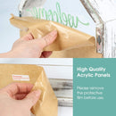 Rustic White Wall Terranium Plant Holder