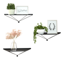 Set of 3 Black Metal Wall Mount Floating Shelves
