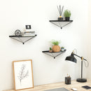 Set of 3 Black Metal Wall Mount Floating Shelves