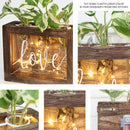 3 Glass Planter Propagation Wooden Stand with Waterproof LED Fairy Lights