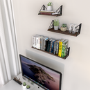 Set of 3 Floating Display Shelves with Metal Frame