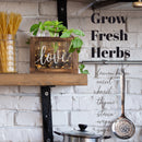 3 Glass Planter Propagation Wooden Stand with Waterproof LED Fairy Lights