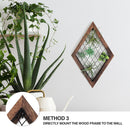 Diamond Frame Hanging Airplant Holder
