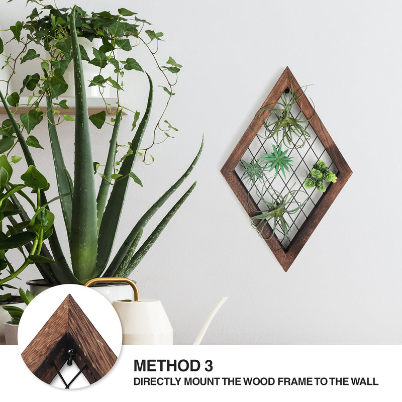 air plant frame holder Diamond Frame Hanging Airplant Holder – J JACKCUBE DESIGN