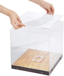 Basketball Display Case with Wooden Base