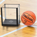 Basketball Display Case with Metal Mesh Base