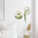 Set of 2 Gold Metal Hanging Planter with Ceramic Pots