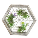 Rustic Wood Hexagon Shape Air Plant Holder