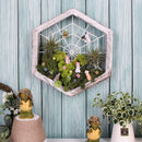 Rustic Wood Hexagon Shape Air Plant Holder