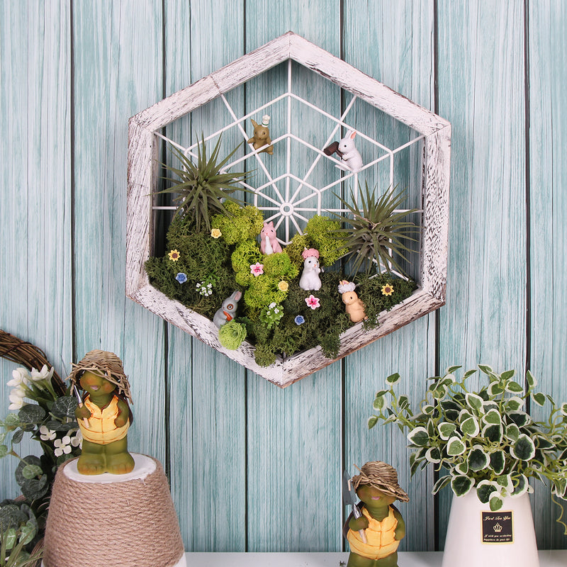 rustic plant hanger Rustic Wood Hexagon Shape Air Plant Holder – J JACKCUBE DESIGN