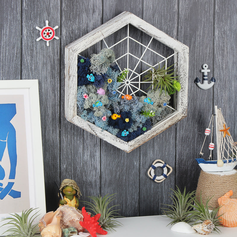 air plant wood frame Rustic Wood Hexagon Shape Air Plant Holder – J JACKCUBE DESIGN