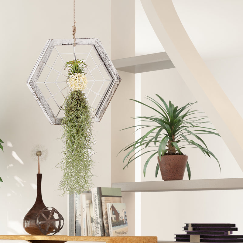 mkono air plant frame Rustic Wood Hexagon Shape Air Plant Holder – J JACKCUBE DESIGN