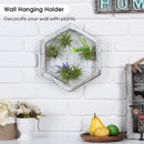 Rustic Wood Hexagon Shape Air Plant Holder