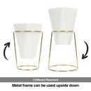 Set of 2 White Modern Taletop Gold Metal Ceramic Plant Vase Stand