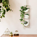 3 Hanging White Ceramic Plant Pot with Gold Metal Hanger