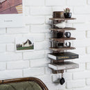 6 Tier Wall Mount Sunglasses Organizer with 2 Hooks