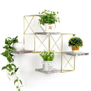 Set of 2 Gold Frame Rustic Wodden Floating Plant Display Shelf