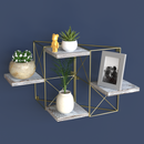 Set of 2 Gold Frame Rustic Wodden Floating Plant Display Shelf