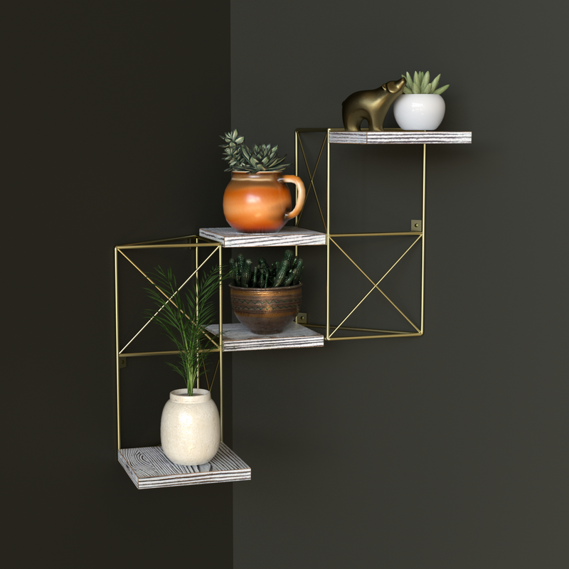 Set of 2 Gold Frame Rustic Wodden Floating Plant Display Shelf