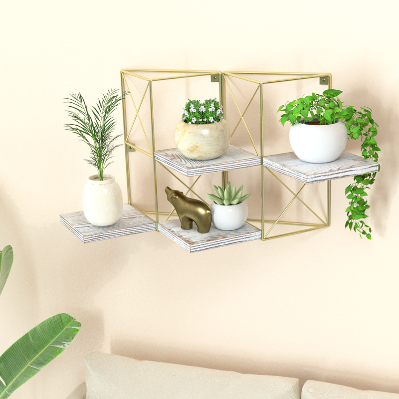 Set of 2 Gold Frame Rustic Wodden Floating Plant Display Shelf