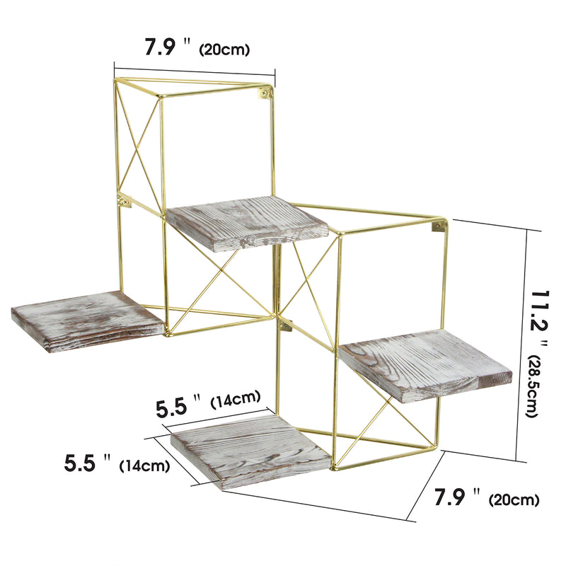 Set of 2 Gold Frame Rustic Wodden Floating Plant Display Shelf